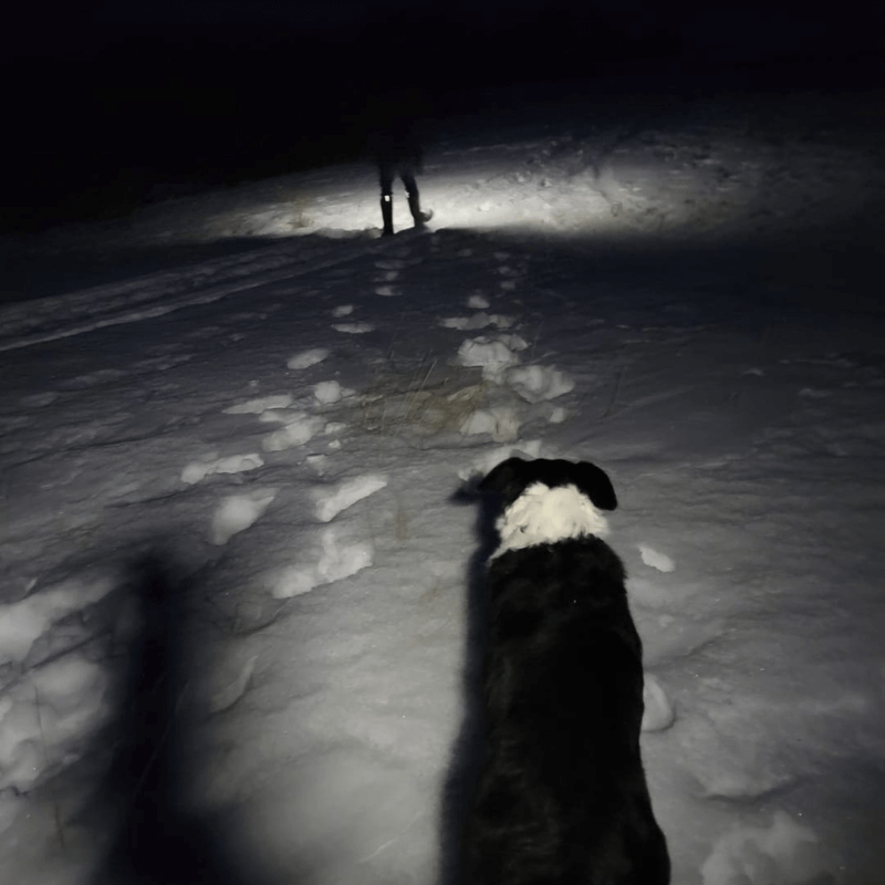 Yonderra™ HaloBeam 230