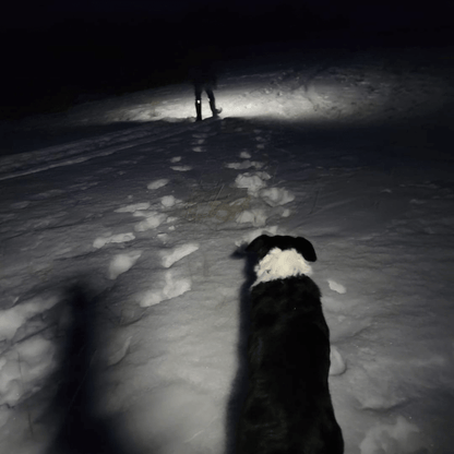 Yonderra™ HaloBeam 230